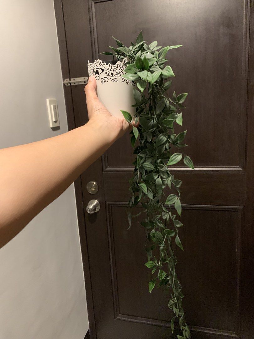 Ikea White Pot Hanging Artificial Plant (Category: Artificial Plants & Flowers) located in Paranaque City. Submitted by zyyee (Listing ID 1463946762, Image 2). Description: - Ikea Realistic hanging artificial plant - Features long, trailing green vines - Comes in a white pot with a decorative lace-like edge - Easy to hang anywhere for instant home decor -i have 2 of these.