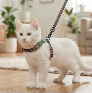 (Category: ) located in . Submitted by carsenmktg (Listing ID 1464105946, Image 1). Description: .