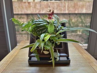 （分類：）位於 。 由 parttime_cleaner 提交（商品編號 1464213754，圖片 1）。簡介： 。