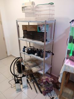 (Category: ) located in . Submitted by lamsiew375 (Listing ID 1464260745, Image 1). Description: .