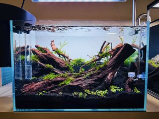 (Category: ) located in . Submitted by aquaphilic (Listing ID 1464234829, Image 1). Description: .