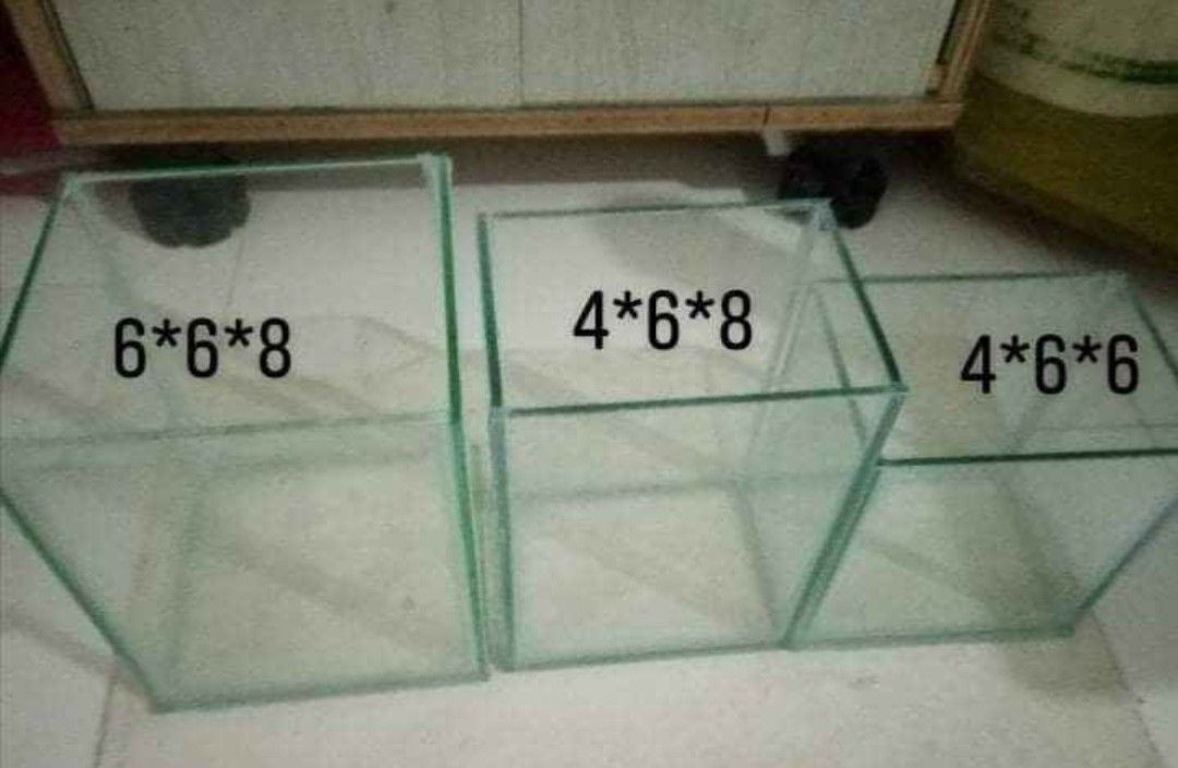 BETTA TANK (Category: Homes & Other Pet Accessories) located in Caloocan City. Submitted by itsmeyumi. (Listing ID 1464349863, Image 1). Description: Perfect for betta lovers and breeders! *Compact size, ideal for individual betta *Clear glass, clean and presentable * Space saving and perfect for home setup * Can be used for simple aquascape or bare-bottom setup *Available sizes: 6" × 6" × 8" 4" x 6" x 8" 4" x 6" x 6" *Made with 6mm glass *Delive