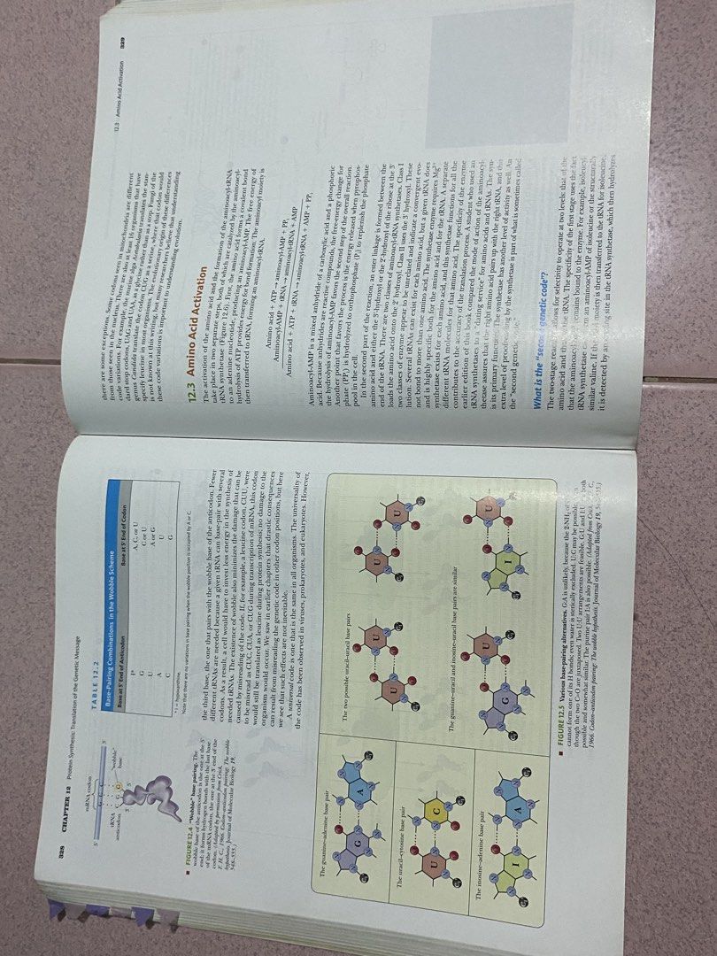 Biochemistry 7th Edition International Edition Textbook (Category: Textbooks) located in Marikina City. Submitted by kayciigii (Listing ID 1464268660, Image 2). Description: - Biochemistry Textbook: 7th Edition, International Edition - Authors: Campbell and Farrell - Key Topics Covered: Amino Acid Activation, Genetic Code - Ideal for Biochemistry Students - Please check photos for detailed content overview.