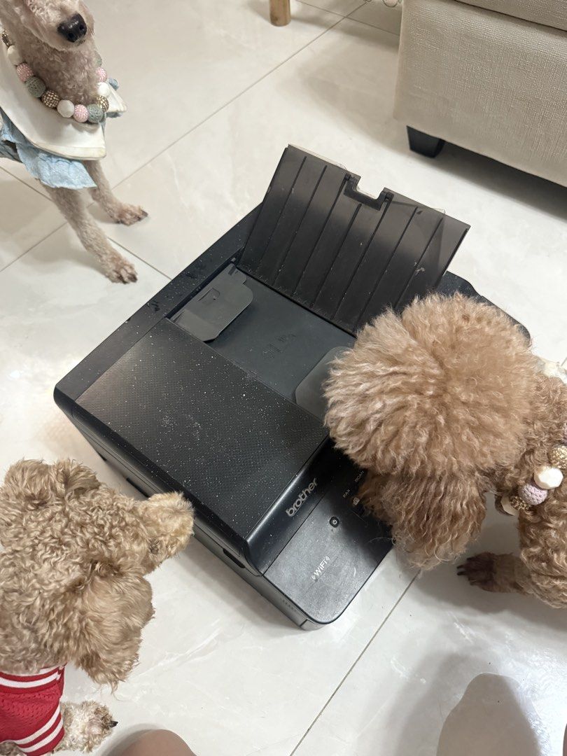 Defective MFC-J340W Printer (Category: Printers, Scanners & Copiers) located in Cainta. Submitted by ughniezkaaaa (Listing ID 1464222955, Image 2). Description: • Defective MFC-J340W Printer • No box and no wire. • It still turns on but there is a problem with the yellow ink. • White dots are from when we painted the walls. • Color may slightly be different due to lighting. • What you see is what you get. • Shipping is shouldered by the buyer. • 