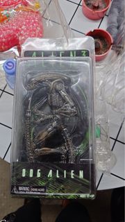 （分類：）位於 。 由 dxtdggdgdf71103 提交（商品編號 1464242495，圖片 1）。簡介： 。