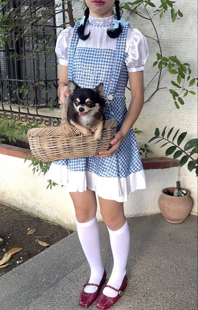 Dorothy Costume (Category: Sets or Coordinates) located in Bulacan. Submitted by peach1025 (Listing ID 1464148162, Image 1). Description: - Dorothy costume from The Wizard of Oz - Blue gingham dress with white puff sleeves and ruffled hem - Perfect for Halloween, costume parties, or themed events - Note: Dog and accessories not included Dress Only..