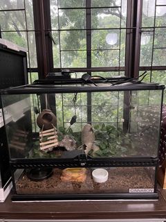 (Category: ) located in . Submitted by ahza4321 (Listing ID 1464236591, Image 1). Description: .