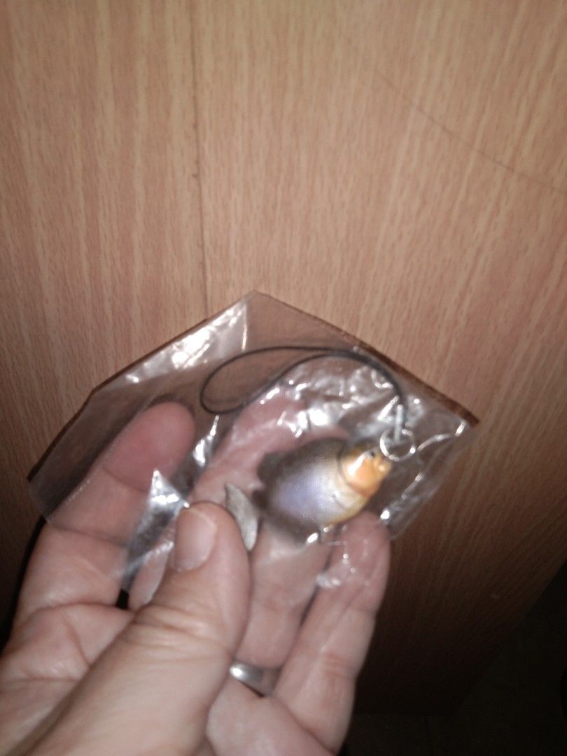 Fish keychain rubberized (Category: Other Merchandise) located in Quezon City. Submitted by eidorableshop (Listing ID 1464277566, Image 1). Description: .