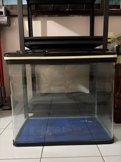 (Category: ) located in . Submitted by ronzokel (Listing ID 1464284914, Image 1). Description: .