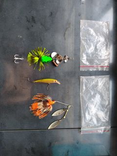 (Category: ) located in . Submitted by fishing_acc (Listing ID 1464223162, Image 1). Description: .