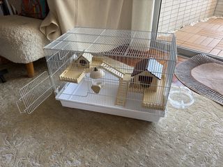 （分類：）位於 。 由 natgao 提交（商品編號 1464204453，圖片 1）。簡介： 。