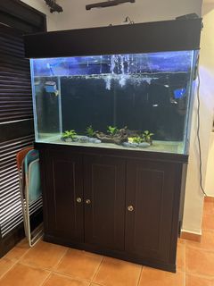 (Category: ) located in . Submitted by youtingtan (Listing ID 1464339798, Image 1). Description: .