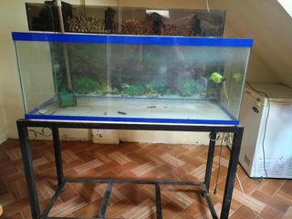 (Category: ) located in . Submitted by delrosario67155 (Listing ID 1464189028, Image 1). Description: .
