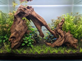 (Category: ) located in . Submitted by elmohi5 (Listing ID 1464246656, Image 1). Description: .