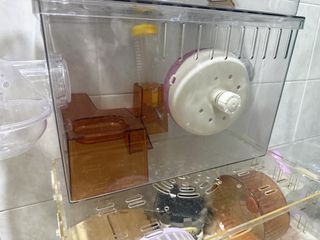 (Category: ) located in . Submitted by trusted_orderservice (Listing ID 1464165359, Image 1). Description: .