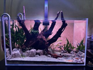 (Category: ) located in . Submitted by calcool77 (Listing ID 1464236281, Image 1). Description: .
