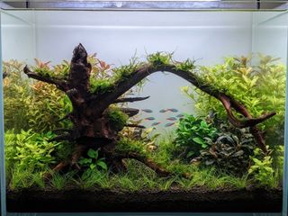 (Category: ) located in . Submitted by elmohi5 (Listing ID 1464243149, Image 1). Description: .