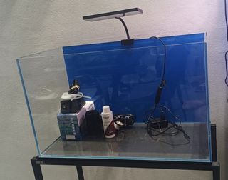 (Category: ) located in . Submitted by shastrwb (Listing ID 1463958863, Image 1). Description: .