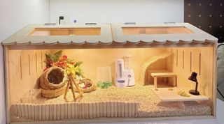 (Category: ) located in . Submitted by xuandi53186767 (Listing ID 1464261672, Image 1). Description: .