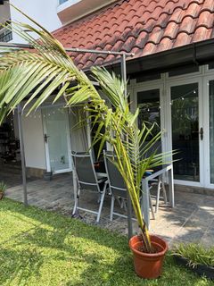 (Category: ) located in . Submitted by anika01 (Listing ID 1464193323, Image 1). Description: .