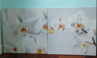 （分類：）位於 。 由 gigimaha119 提交（商品編號 1464396759，圖片 1）。簡介： 。