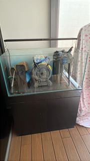 (Category: ) located in . Submitted by singapore.products (Listing ID 1464566334, Image 1). Description: .