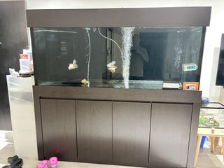 (Category: ) located in . Submitted by thomhoe (Listing ID 1464569608, Image 1). Description: .