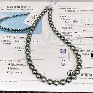 （分類：）位於 。 由 tpc.pearl 提交（商品編號 1464456540，圖片 1）。簡介： 。
