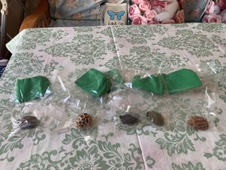 （分類：）位於 。 由 patpatho 提交（商品編號 1464401492，圖片 1）。簡介： 。