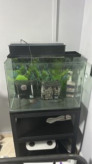 (Category: ) located in . Submitted by alya.na21 (Listing ID 1464395888, Image 1). Description: .