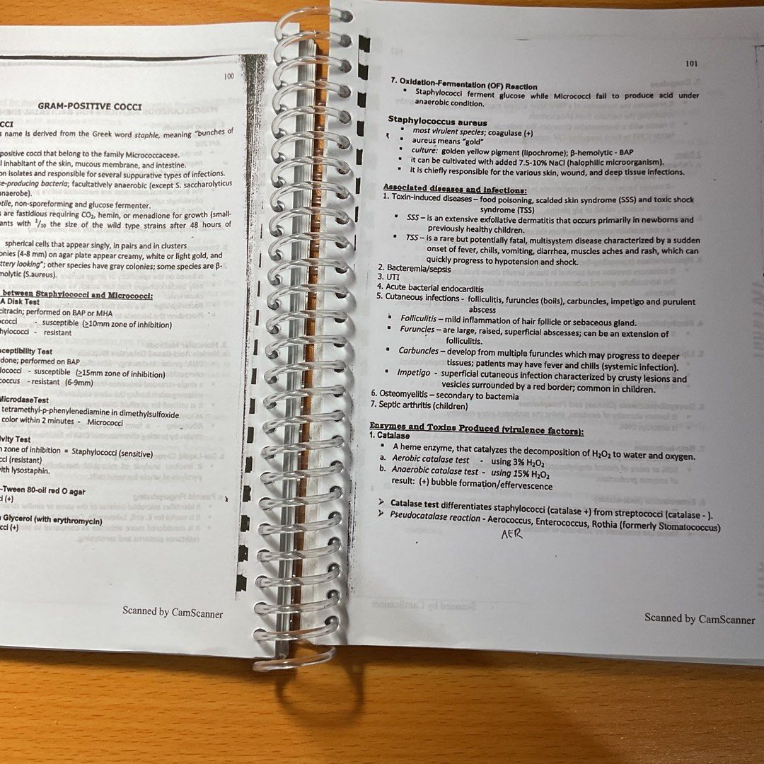 Bacteriology Handbook for Medical Technologists Revised 2012 (Category: Textbooks) located in Marikina City. Submitted by casa_shoppe (Listing ID 1464559445, Image 2). Description: - Bacteriology Handbook for Medical Technologists - Revised Edition: 2012 - Author: Maria Teresa T. Rodriguez, RMT, MAEd, MSMT - Key Topics: Gram-positive cocci, Staphylococcus - Ideal for Medical Technology students - Spiral bound for convenient use.