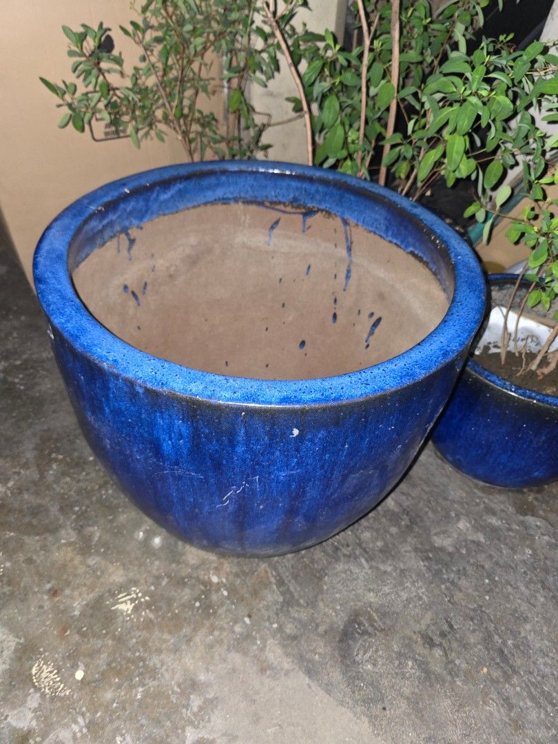 Blue Ceramic Vietnamese Plant Pot (Category: Pots & Planters) located in Quezon City. Submitted by juanchoice (Listing ID 1464478637, Image 3). Description: - blue ceramic pot - Glossy finish with subtle speckles - Unglazed terracotta interior - Shows minor signs of previous use (marks/dirt inside) - Ideal for larger plants Dimensions: A. Large Pots - P3,000 per pc (Open for Nego) Diameters - 57cm thickness - 4cm height - 51cm 3pcs on hand Medium