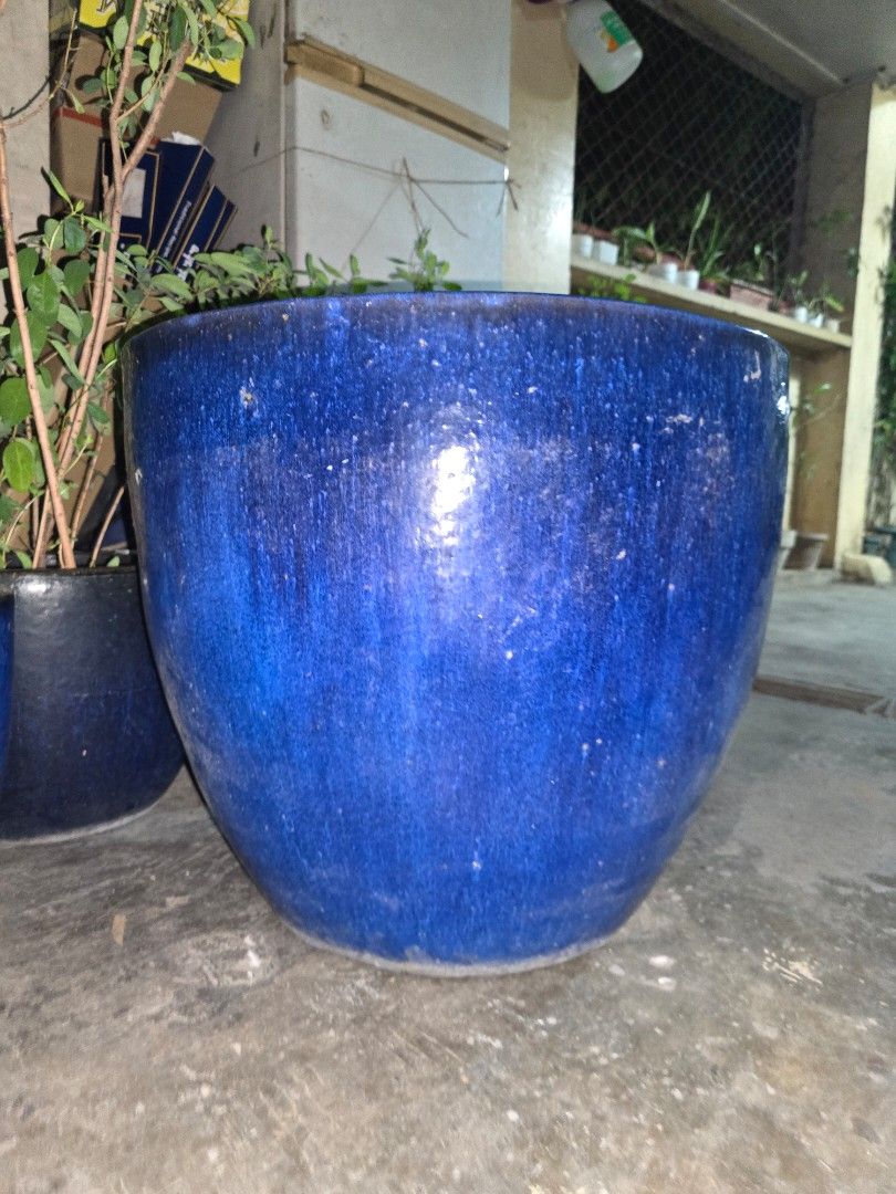 Blue Ceramic Vietnamese Plant Pot (Category: Pots & Planters) located in Quezon City. Submitted by juanchoice (Listing ID 1464478637, Image 2). Description: - blue ceramic pot - Glossy finish with subtle speckles - Unglazed terracotta interior - Shows minor signs of previous use (marks/dirt inside) - Ideal for larger plants Dimensions: A. Large Pots - P3,000 per pc (Open for Nego) Diameters - 57cm thickness - 4cm height - 51cm 3pcs on hand Medium