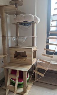 (Category: ) located in . Submitted by koropok_catparadise (Listing ID 1464362839, Image 1). Description: .