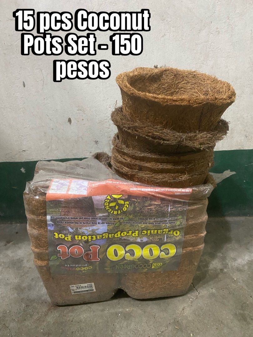 Coconut Pots TAKE ALL (Category: Pots & Planters) located in Manila. Submitted by dealrack (Listing ID 1464407796, Image 1). Description: .