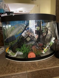 (Category: ) located in . Submitted by ID380631097 (Listing ID 1464417876, Image 1). Description: .