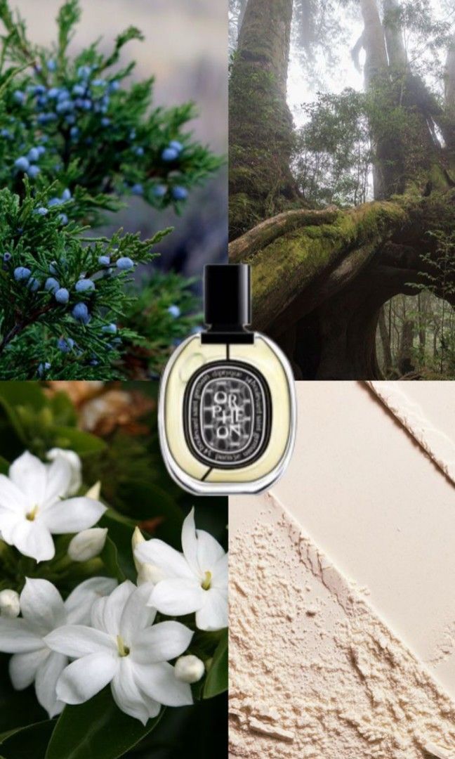 Diptyque Orpheon EDP 100ml (Category: Fragrance & Deodorants) located in Bacolod City. Submitted by pevirs.scents (Listing ID 1464381682, Image 2). Description: BNIB Sealed, Bought from duty free Indonesia, 100ml.