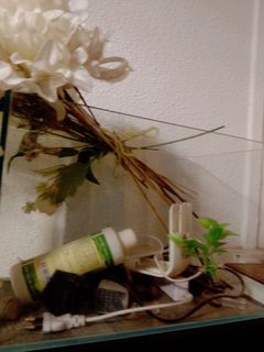 (Category: ) located in . Submitted by qaneta (Listing ID 1464504579, Image 1). Description: .