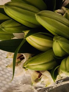 （分類：）位於 。 由 clearinghouse8 提交（商品編號 1464502622，圖片 1）。簡介： 。