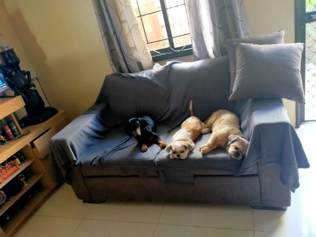 2-3 Seater Gray Sofa (Category: Sofas) located in Antipolo. Submitted by secondmusebags (Listing ID 1464515857, Image 1). Description: Bought for 18k 4 yrs ago Good condition with minor signs of usage Location: Havila Filinvest Antipolo Delivery shouldered by buyer.