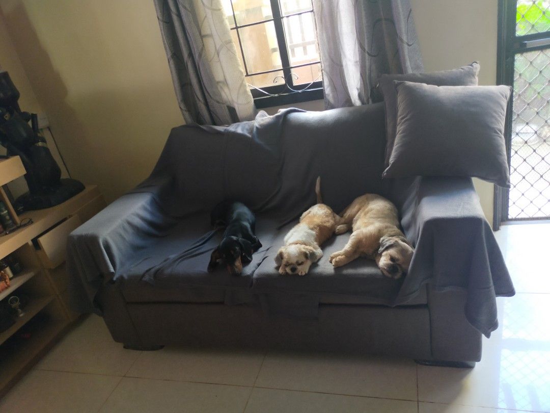 2-3 Seater Gray Sofa (Category: Sofas) located in Antipolo. Submitted by secondmusebags (Listing ID 1464515857, Image 2). Description: Bought for 18k 4 yrs ago Good condition with minor signs of usage Location: Havila Filinvest Antipolo Delivery shouldered by buyer.