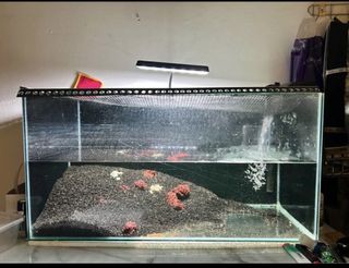 (Category: ) located in . Submitted by zackwilson77552 (Listing ID 1464442421, Image 1). Description: .