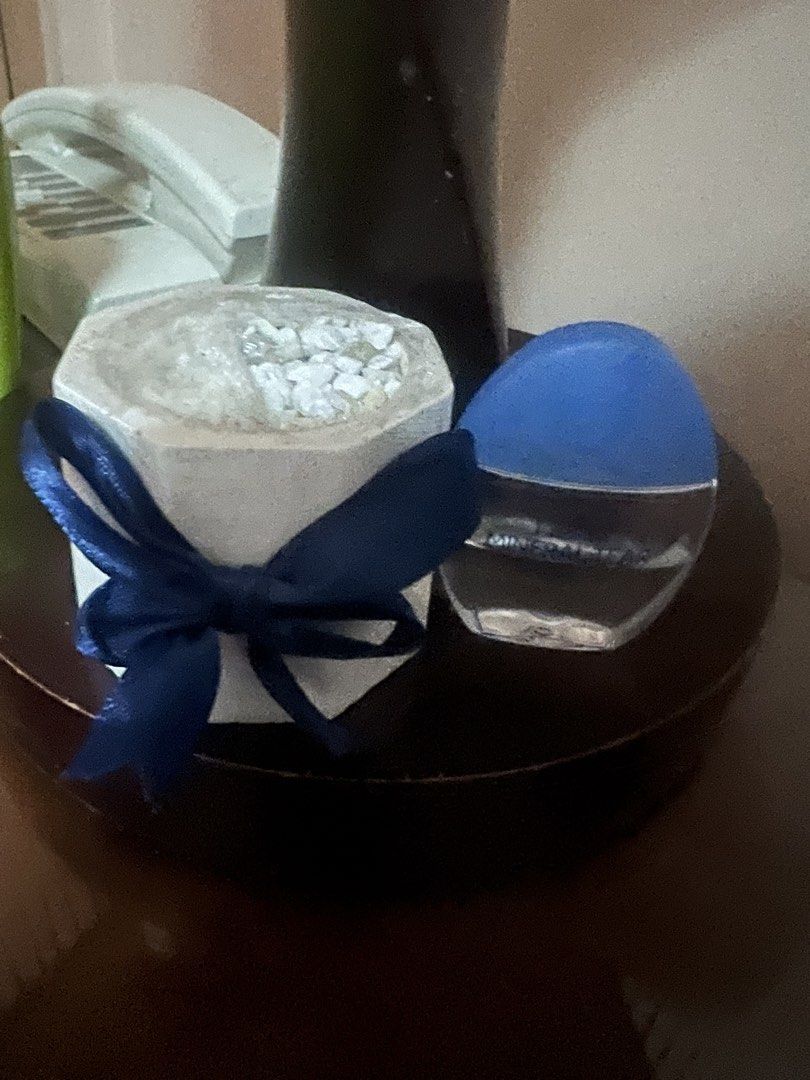 Hexagonal planter with Blue Ribbon (Category: Home Fragrance) located in San Juan City. Submitted by iambernie (Listing ID 1464371453, Image 2). Description: - small planter - Wrapped with a chic navy blue ribbon - Ideal for home decor or as a thoughtful gift - Adds a lovely touch to any room.
