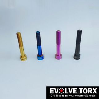 Anti-Theft Security Bolt Collection item 2