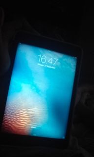 (Kategori: ) berada di . Dikirim oleh elsabukanf05446 (ID iklan 1464453420, Gambar 1). Deskripsi: .