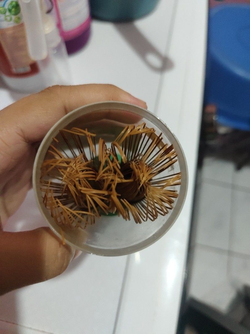 Matcha whisk (Category: Coffee & Tea Tableware) located in Davao. Submitted by dvo_jpnstuff (Listing ID 1464505605, Image 2). Description: 2pcs Ang laman sa loob..