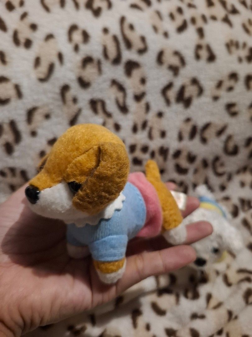 MINI DOGS 3PCS (Category: Announcements) located in Cavite. Submitted by annek_annek (Listing ID 1464553445, Image 1). Description: PLEASE SEND ME A MESSAGE FOR MORE DETAILS. Note: PLEASE DO MANAGE OUR EXPECTATION ITEMS ARE STILL FROM JAPAN SURPLUS. MOP : BDO,BPI,MARIBANK,GCASH MOD : LALAMOVE FLASH EXPRESS OWN PICK UP MEET UP NEARBY AREA WITH HANDLING FEE..