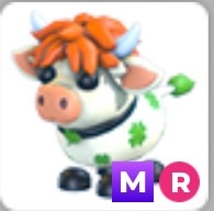(Category: ) located in . Submitted by adoptmeprincess (Listing ID 1464441945, Image 1). Description: .