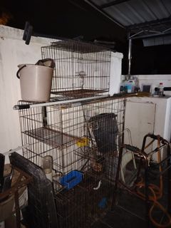 (Category: ) located in . Submitted by zalinah12 (Listing ID 1464476763, Image 1). Description: .