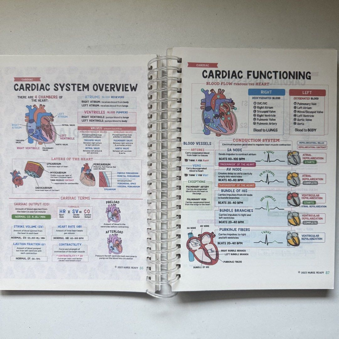 Nursing School Success Bundle by Nurse Ready 2023 (Category: Textbooks) located in Santa Cruz. Submitted by yeonbox (Listing ID 1464430071, Image 3). Description: .